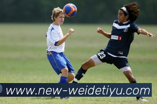 伟德体育全站App